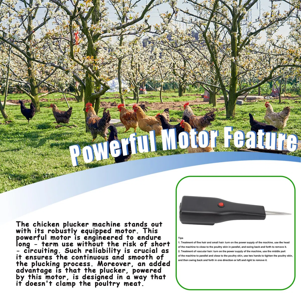 Desplumador eléctrico de Plumas de Aves de Corral, portátil, automático, Herramienta de desplumado de Pelo Corto para Aves de Corral, 100 a 240 V, para Pollo, Pato,